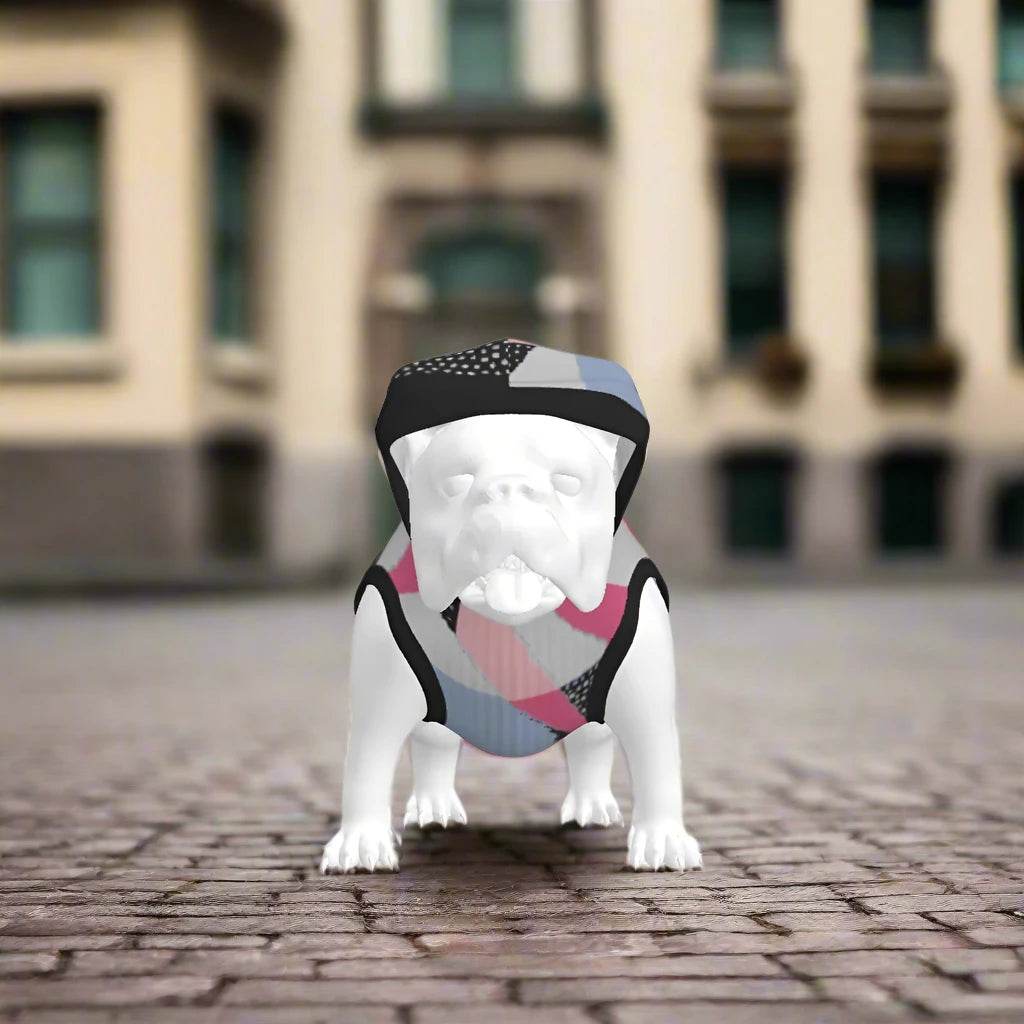 🐾 Dog Hoodie – Stylish Comfort for Your Pup - RNF ENT